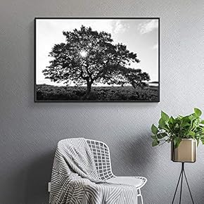 Floating Framed Canvas Wall Art for Living Room, Bedroom Black and White Tree Art Canvas Prints for Home Decoration Ready to Hang - 16x24 inches
