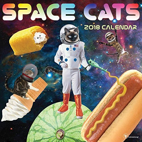 2018 Space Cats Wall Calendar Calendar – Wall Calendar, August 1, 2017
