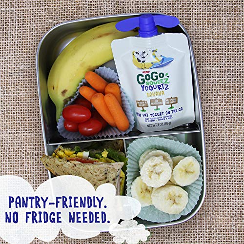 5 GoGo+YogurtZ+Portable+BPA+Free+Gluten+Free