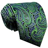 Shlax & Wing Men's Neckties Ties Paisley Green Purple Accessories