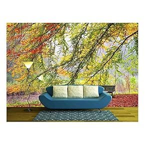 Beautiful Autumn View of a Bench Under a Bright Colored Autumn Tree - Removable Wall Mural | Self-Adhesive Large Wallpaper - 100x144 inches