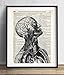 Vintage Anatomy Illustration Art, Dictionary Print, Antique Wall Art Home Decor, Modern Boho, Medical Posters, Farmhouse Decoration 8x10 Inches, Ready To Frame (Anatomy Illustration #1)