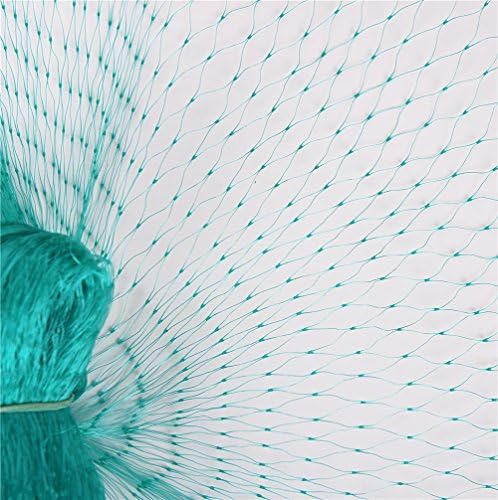 WARKHOME 33 Ft x 13 Ft Green Anti Bird Net,Green Garden Plant Netting,Garden Plant Fruits Fencing Mesh,Protect Seedlings/Vegetables/Soft Fruits/Plants Protect Against Rodents Birds Garden Netting