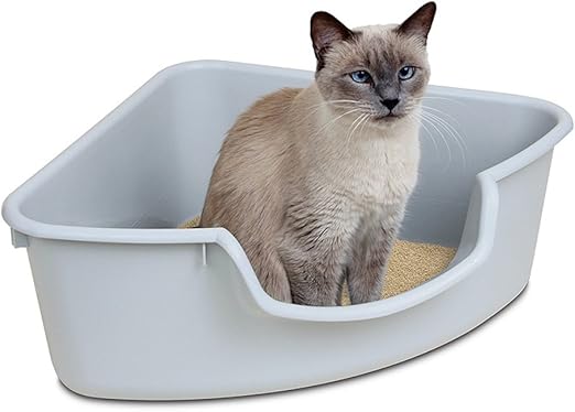 Plddy Bac A Litiere Pour Chat Grande Toilette Triangulaire Pour Chat Bentonite Litiere Pour Chat Bac A Litiere Pour Chat Fournitures Pour Animaux De Compagnie Amazon Fr Animalerie