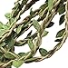 Chenkou Craft 10M Artificial Vine Fake Foliage Leaf Plant Garland Rustic Wedding Home Decor primary