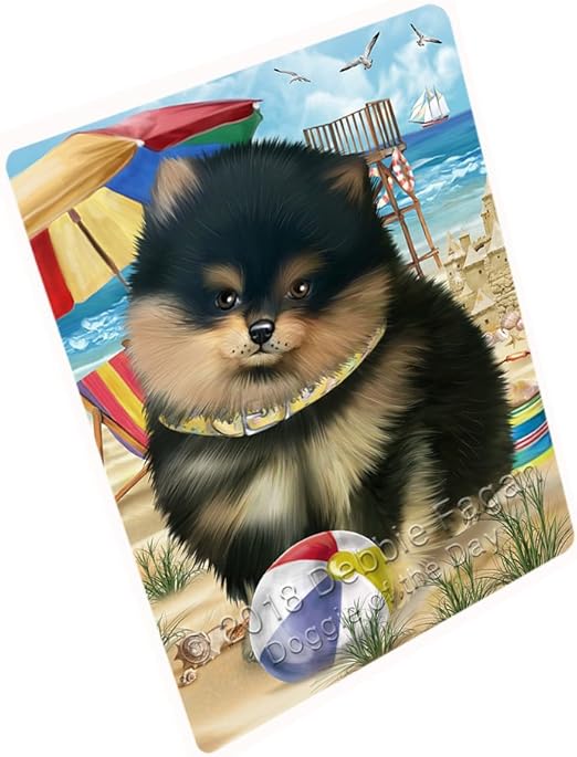 pet friendly blanket