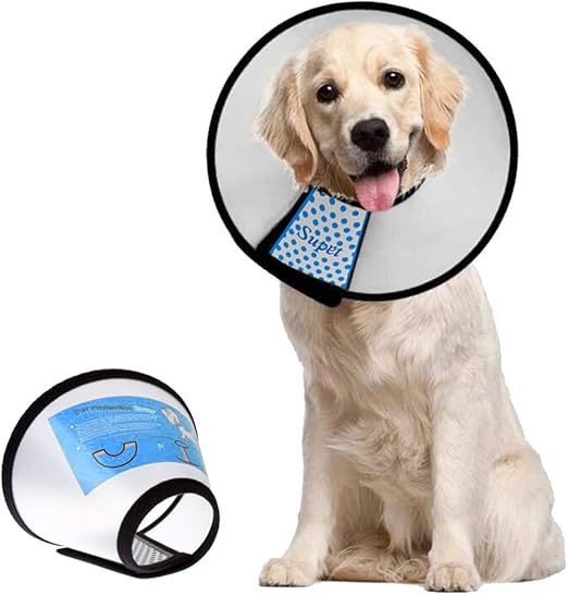 dog soft cone amazon