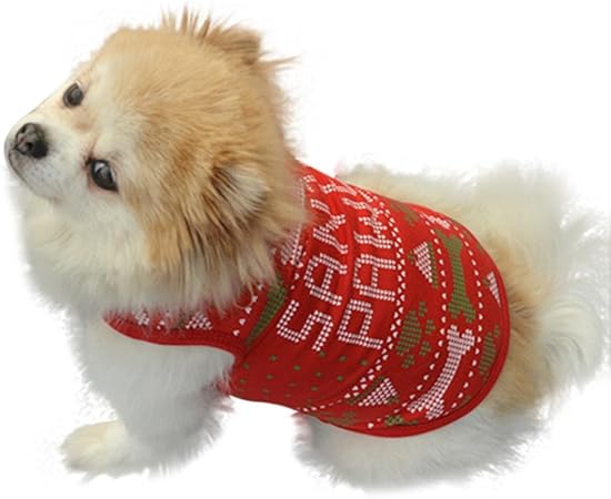 nylon webbing dog collars