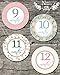 Shabby Chic Baby Monthly Stickers - Shower Gift or Scrapbook Photo Keepsake