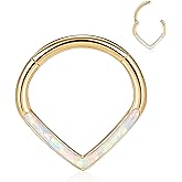 Teadrdrop Nose Hoop Ring 16G Septum Ring Septum Jewelry Opal CZ Daith Earring Surgical Steel Hinged Segment Seamless Clicker Ring Tragus Rook Helix Cartilage Conch Hoop Piercing Jewelry 8mm 10mm