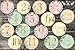 Newborn Baby Girl Gold Floral Milestone Stickers, 1st Year Belly Decals, Set of 12 Monthly Photo Props for Infant Onesie, Scrapbook Keepsake Shower Basket & Registry Gifts