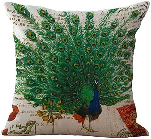 Beautiful Peacock Tail Square Cotton Blend Linen Throw Pillow Case Decor Cushion Covers 18 x 18''
