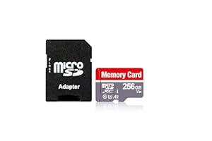 256GB Micro SD Card U3 SDXC Up to 100MB/s High Speed Memory Card for Cams, DJI Pocket and Drones, Grey