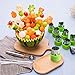 12 PCS Cookie Cutters Stainless Steel Vegetable Fruit Biscuit Cutters Shapes Sets Mold Pattern, for Kid Baking Cooking Food Decoration