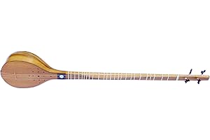 Special Professionnel Persian Setar String Musical Instrument KS-404