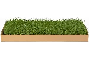 DOGGIELAWN Kitty Lawn Real Grass Cat Window Perch - Natural Indoor Lounger for Large & Small Cats - California Grass - 24x9 Inch - USA Grown