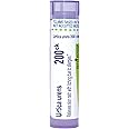 Boiron Urtica Urens 200CK, 80 Pellets, Homeopathic Medicine for Skin Rash, 80 Count (Pack of 1)