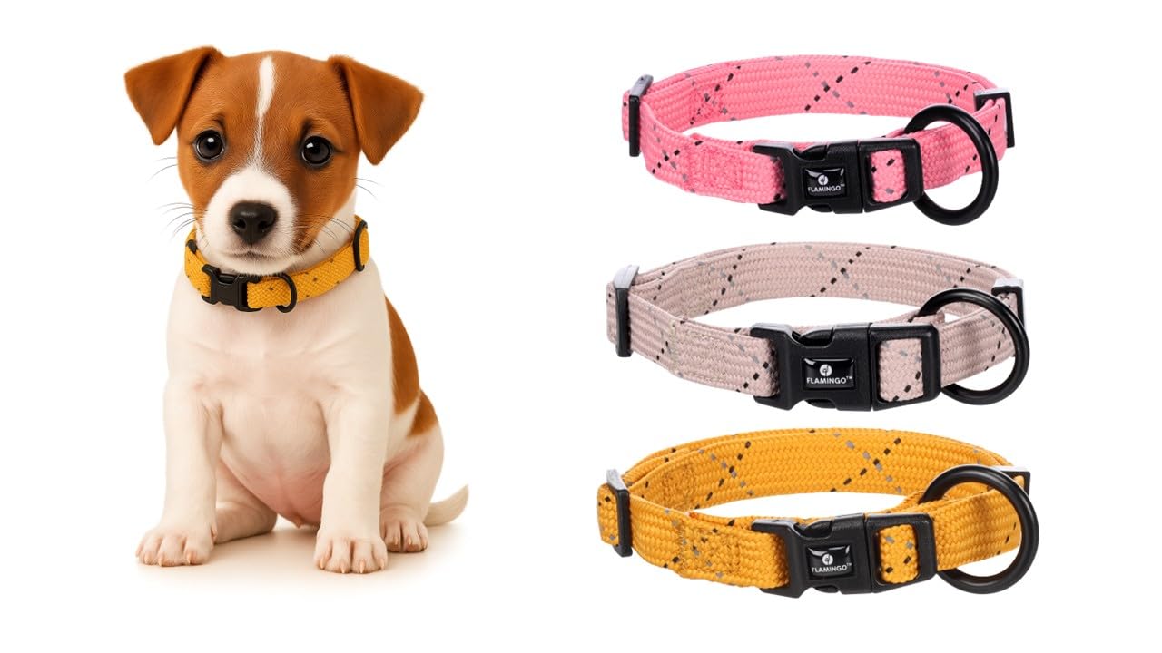 Flamingo Dog Collar Puppy Dolly Ochre S 30-45cm 15mm
