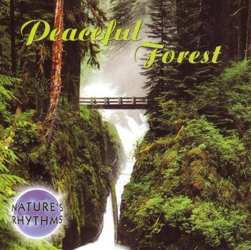 Nature's Rhythms: Peaceful Forest