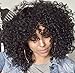 Mildiso Afro Wigs for Black Women Short Curly Wig with Bangs Kinkys Wigs African American Hair Wig Jet Black with Wig Cap M023