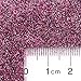 GLITTIES - (12PK) Iridescent Mixed Cosmetic Grade Glitter Kit - Ultra Fine Loose Glitter for Body Shimmer, Face, Makeup, Lips, Body Tattoos, & Nail Art - (10 Gram Jars)