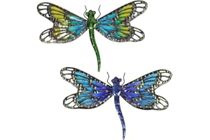 HONGLAND 2Pcs Metal Dragonfly Wall Decor Outdoor Dragonfly Wall Art Glass Sculpture for Home Garden,Gradient Blue&Green