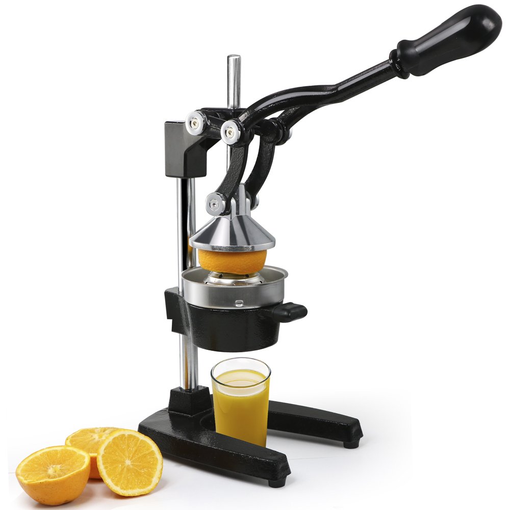 Best Cold Press Juicer for a Juice Bar 2017 Reviews and Top Picks