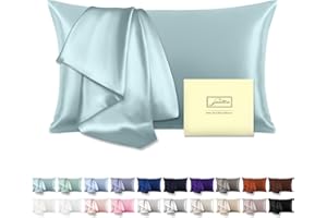 Mulberry Silk Pillowcase for Hair and Skin Standard Size 20"X 26" with Hidden Zipper Soft Breathable Smooth Cooling Pillow Co