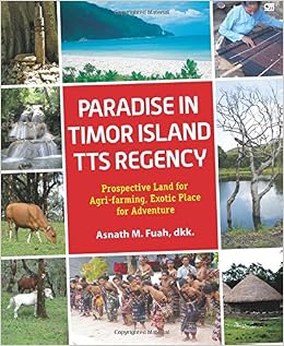 Paradise In Timor Island Indonesian Edition Asnath M