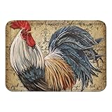 SPXUBZ Vintage Cool Rooster Arts Doormat Non Slip