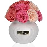 Preserved Roses,Weeding Flowers,Table Centerpiece Flowers,14Pcs Long Lasting Real Rose in Ceramic Vase,Table Flowers for Party,Wedding Decor,Birthday,Anniversary,Wedding Gifts for Her (Color Mix)