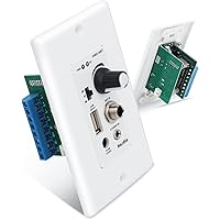 Herdio in Wall Bluetooth Amplifier for Home Speakers, 4 Channel Receiver Wall Plate with USB/Microphone/AUX(3.5mm)/MIC Input