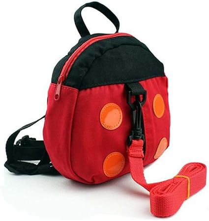 ladybird baby walker