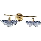 Clfuture 2 Light Vintage Wall Sconces with Glass Shades,Vanity Light,Bathroom Light,Wall Lighting Fixture for Mirror,Home Dec