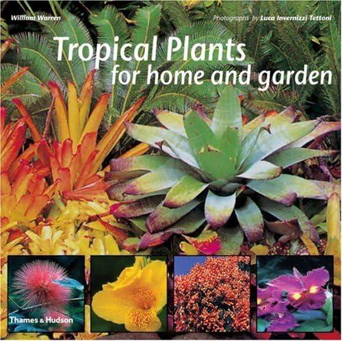 Tropical Plants for Home and Garden Paperback – March 1, 2006