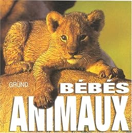 Bébés animaux
