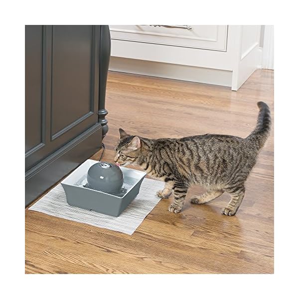 drinkwell seascape pet fountain