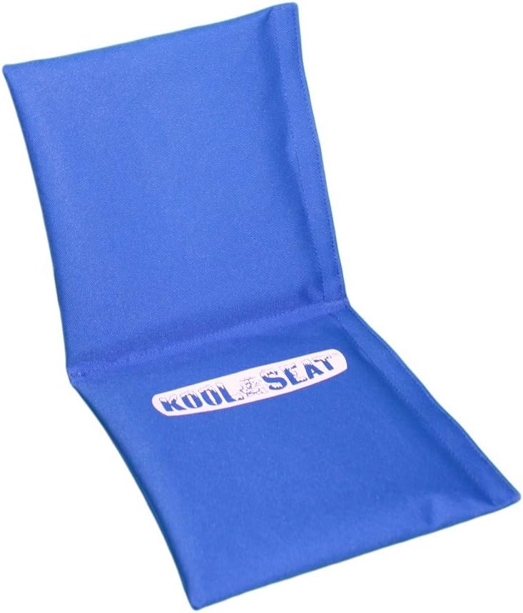 SwaggyBear Kool Seat, Brilliant Blue