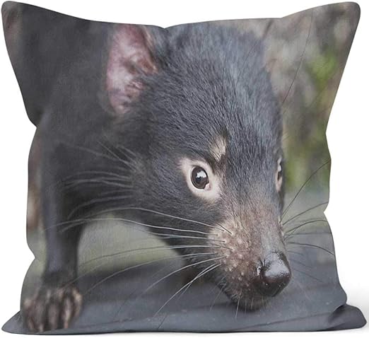 Amazon Com Nine City Closeup Tasmanian Devil Throw Pillow Cushion