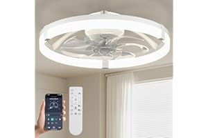 Passky 19.7” Low Profile Ceiling Fan with Lights and Remote, Dimmable LED Flush Mount Fandelier, 6 Speeds, 3000K–6000K, White Modern Ceiling Fan for Bedroom, Kitchen, Living Room
