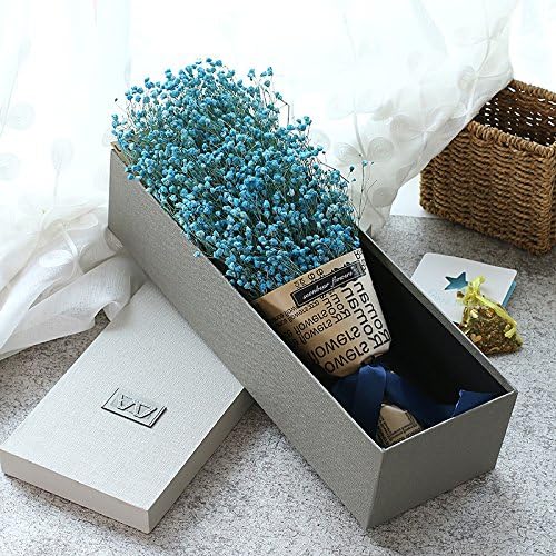 TXHLYD Forget Me Not All Over The Sky, Dry Flowers, Flowers, Gift Boxes, Valentine'S Day Bouquets, Girlfriends, Small Fresh Birthday Gifts,Blue Sky Full Of Stars