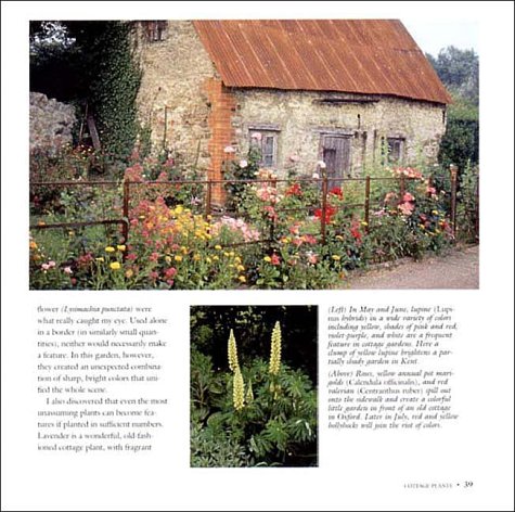English Cottage Gardening: For American Gardeners, Revised Edition - Thumbnail 7