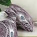 CaliTime Pack of 2 Throw Pillow Covers Cases for Couch Sofa Home Decoration Modern Peacock Feathers 18 X 18 Inches Aubergine