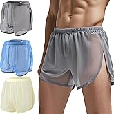 YINYOUYU Mens Sexy Mesh See Through Shorts Underwear Loose Sheer Breathable Boxers Short