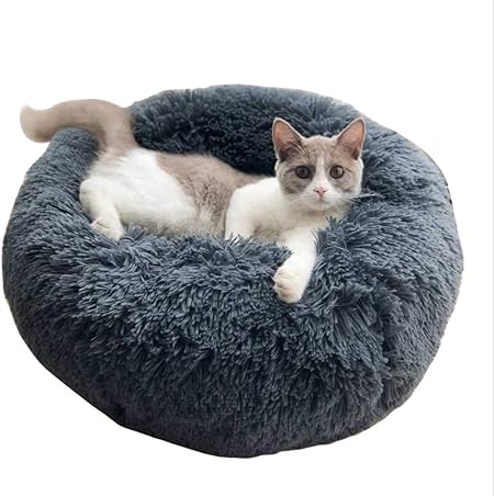 amazon marshmallow cat bed