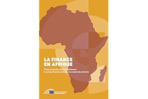 La finance en Afrique: Temps incertains, banques résilientes : le secteur financier africain à la croisée des chemins (French