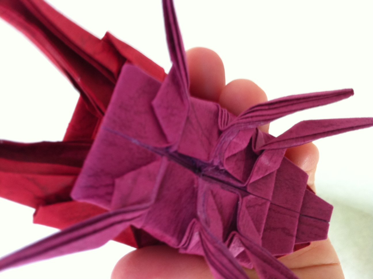 本物みたいな虫のおりがみ図鑑 伊丹市昆虫館 本 通販 Amazon