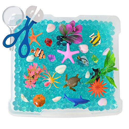 Discovery Box for Sensory Play - Ocean Exploration