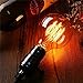 Edison Bulb - Elfeland 60W Vintage Antique Style Incandescent Light Bulbs - Squirrel Cage Filament - Classic Amber Glass - G80 - E26/E27 Medium Base - Dimmable - 4 Pack