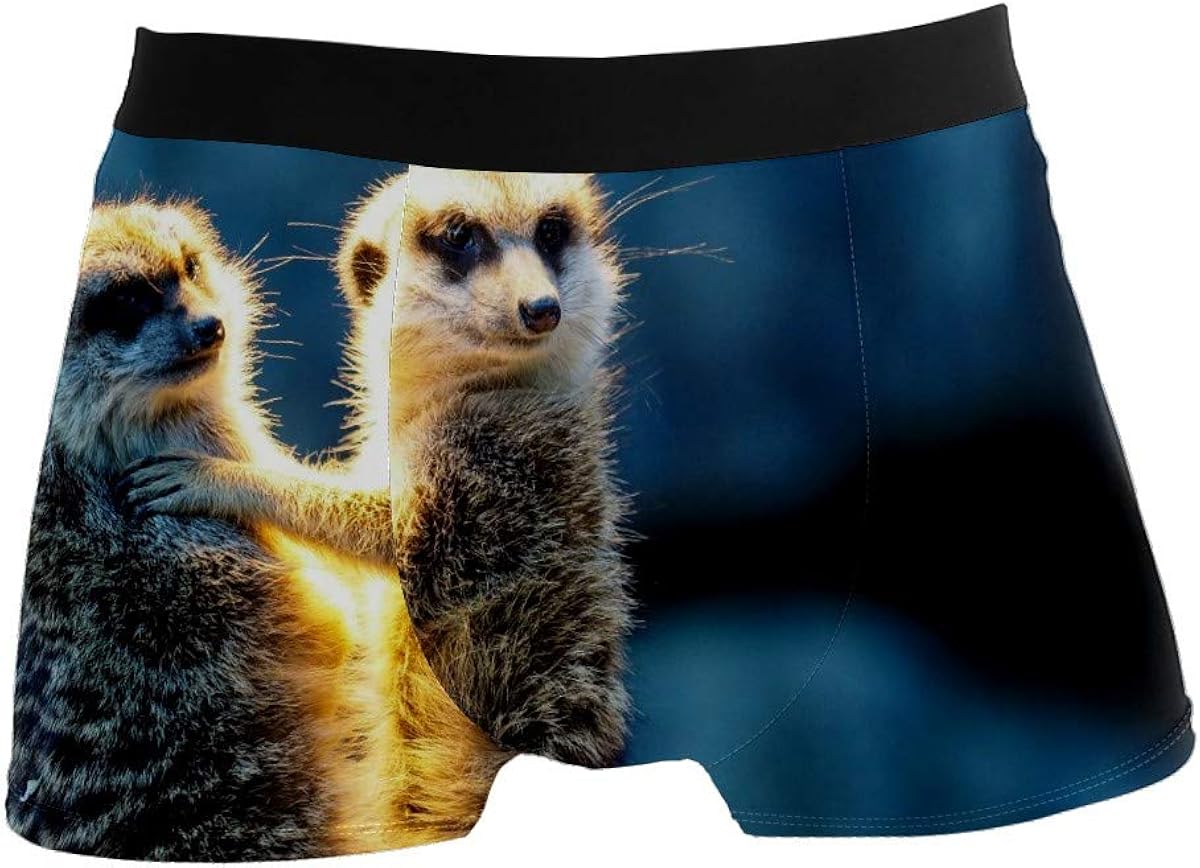 Amazon メンズボクサーパンツ ミーアキャット かわいい ボクサーブリーフ インナーパンツ 男性下着 吸汗速乾 通気良い 弾力性 前閉じ インナー 贈り物 S ボクサー 通販